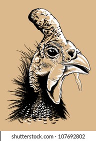 Black and white vector line drawing of a guinea fowl's head.