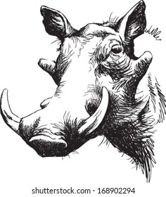 Black and white vector line drawing of a Warthog's face