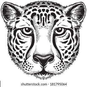 Black   white vector line drawing Cheetah's face