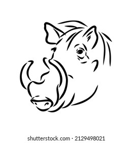 Black and white vector line drawing of a Warthog
