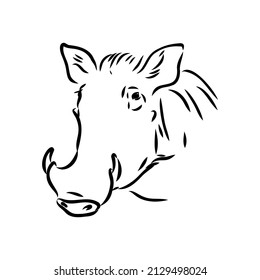 Black and white vector line drawing of a Warthog
