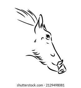 Dibujo de línea vectorial en blanco y negro de un Warthog