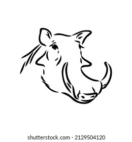 Black and white vector line drawing of a Warthog