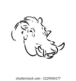 Black and white vector line drawing of a Warthog