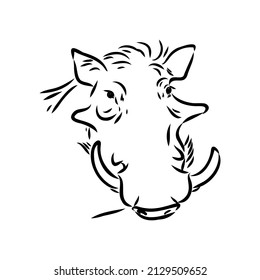 Black and white vector line drawing of a Warthog