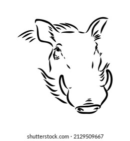 Black and white vector line drawing of a Warthog
