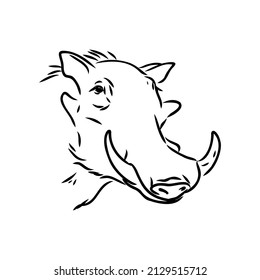 Black and white vector line drawing of a Warthog