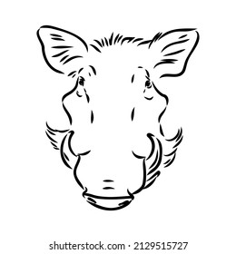 Black and white vector line drawing of a Warthog