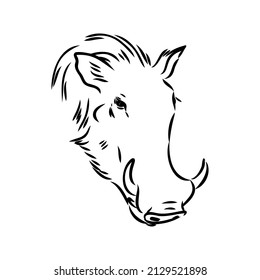 Black and white vector line drawing of a Warthog