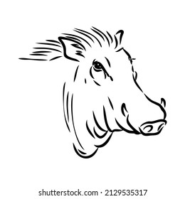 Black and white vector line drawing of a Warthog