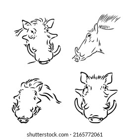 Black and white vector line drawing of a Warthog's face