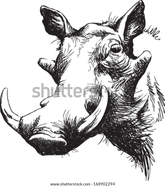 Black\
and white vector line drawing of a Warthog\'s\
face