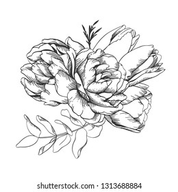 Black and white vector line sketch illustration, bouquet of tulip and peony. Floral element for wedding and invitation cards.
