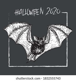 Black and white vector line-illustration, of a bat flying. 