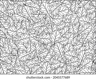 Black and white vector lines sketch of oak leaves, abstract natural background