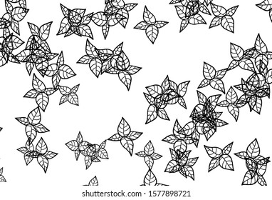 Black and White vector natural artwork with leaves. Glitter abstract illustration with doodles and leaves. Elegant pattern for your brand book.