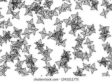 Black and White vector natural backdrop with leaves. leaves on blurred abstract background with gradient. New template for your brand book.