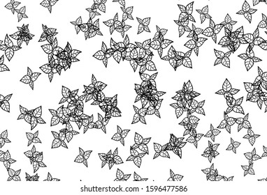 Black and White vector natural backdrop with leaves. Colorful illustration in doodle style with leaves. New template for your brand book.