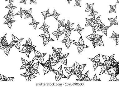 Black and White vector natural background with leaves. leaves on blurred abstract background with gradient. Hand painted design for web, wrapping.