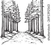 black and white vector outline illustration of hiking trail with towering pine trees