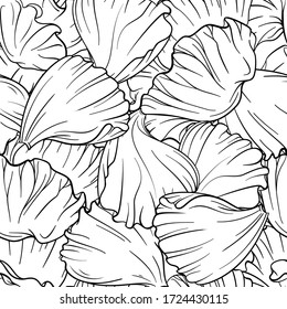 Black and white vector poppy patterns seamless pattern
