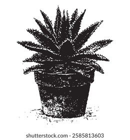 black and white vector of a potted aloe vera plant with spiky leaves. hand-drawn botanical illustration in vintage engraving style, perfect for nature-inspired and herbal designs.