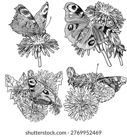 Black and white vector set of butterflies on blooming dandelions. Butterfly open and semi open wings with eye spots. Great for tattoo designs, stationery, skincare branding, and fabric printing