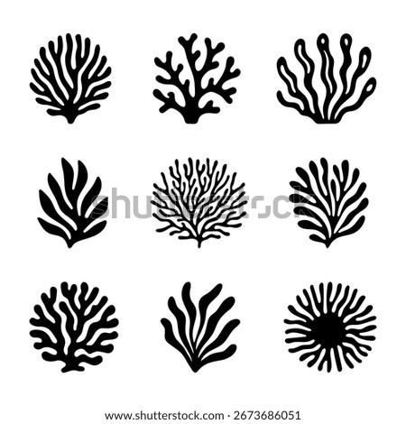 Black and white vector set of corals and algae. Sea plants - black sea coral illustration for design and decoration.