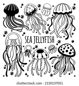 Black and white vector set of jellyfish. Hand-drawn floating sea creatures isolated on white background.