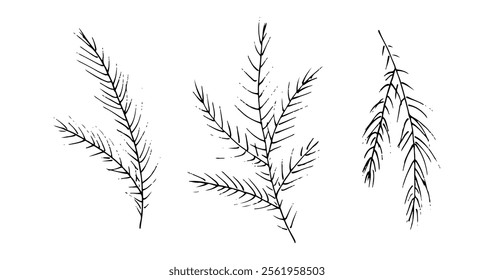 Black and White Vector Set of Pine Branches