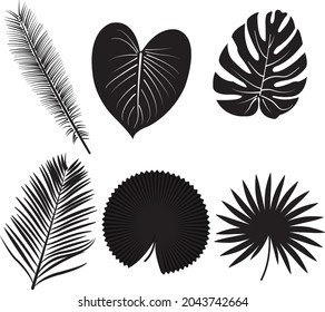 Conjunto de vectores en blanco y negro de hojas de verano  