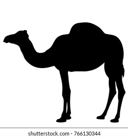 black and white vector silhouette of a camel