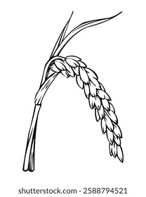 Black and white vector silhouette illustration of a sprig of rice on a white background