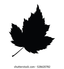 A black and white vector silhouette of a leaf