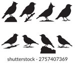 black and white vector silhouette set of lark bird