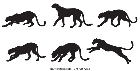 black and white vector silhouette set of cheetah animal