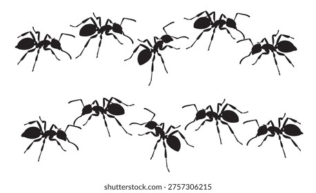 black and white vector silhouette set of ant