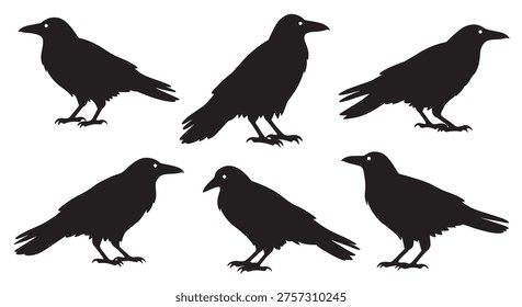 black and white vector silhouette set of raven