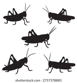 black and white vector silhouette set of grasshopper insect
