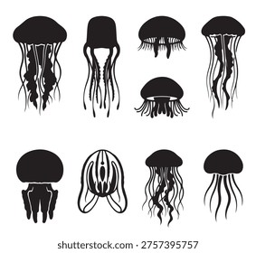 black and white vector silhouette set of Jellyfish