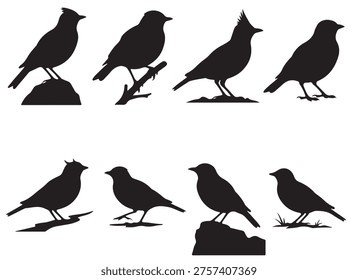 black and white vector silhouette set of lark bird