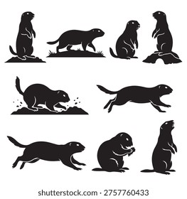 black and white vector silhouette set of Prairie dog