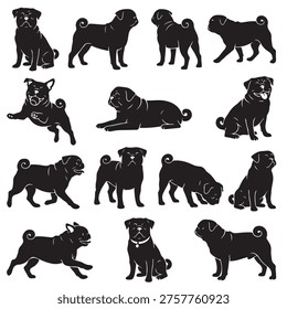 black and white vector silhouette set of Pug dog