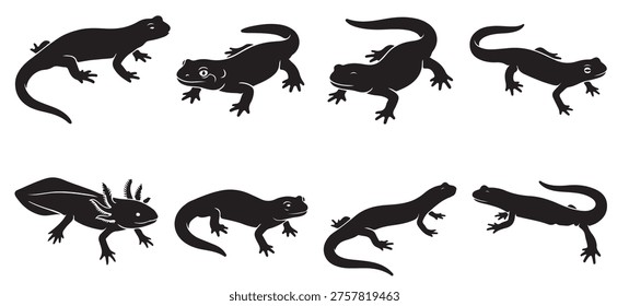 black and white vector silhouette set of salamander