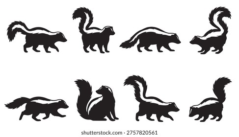 black and white vector silhouette set of skunk animal