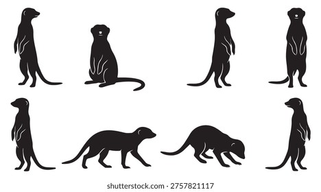 black and white vector silhouette set of meerkat