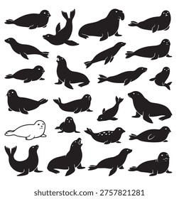 black and white vector silhouette set of seal