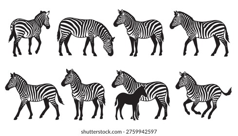Conjunto de silueta de Vector blanco y negro de cebra