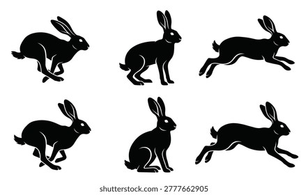 black and white vector silhouette set of Jackrabbit