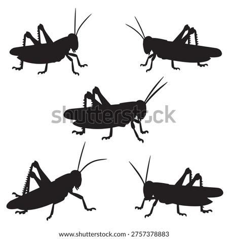 black and white vector silhouette set of grasshopper insect